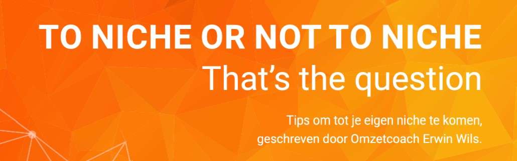 Afbeelding van Teks banner met tekst: To niche or not to niche.